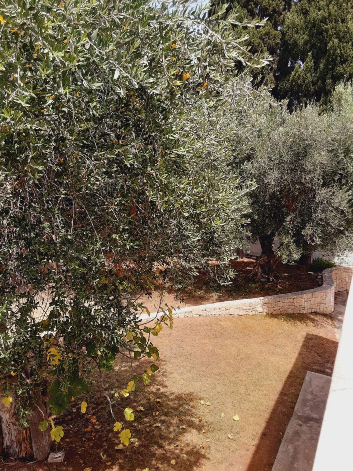 Relais Lavalle ตารันโต ภายนอก รูปภาพ